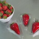 Manaus Expo Beleza 2025 celebra a força da estética amazônica com feira nos dias 2 e 3 de novembro