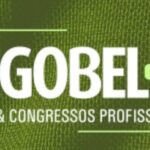 Encontro feminino promove conexão, crescimento e celebração na Barra da Tijuca