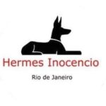 BNI Planner celebra primeiro milhão em negócios e já projeta a marca de R$ 2 milhões